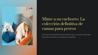 pet care pet