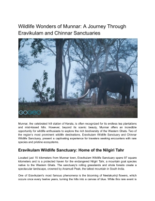 Wildlife Wonders of Munnar_ A Journey Through Eravikulam and Chinnar Sanctuaries