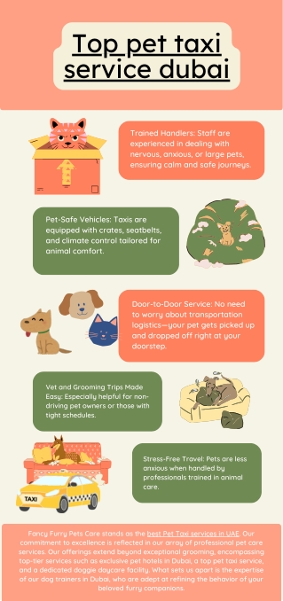 Best Pet Taxi service Dubai