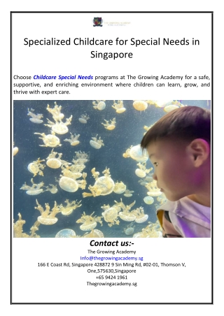 Specialized Childcare for Special Needs in Singapore