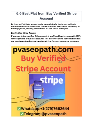 6.6 Best Plat from Buy Verified Stripe Account