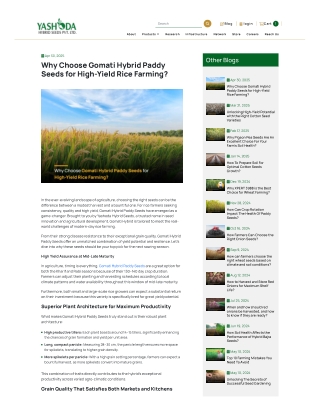 Why Choose Gomati Hybrid Paddy Seeds for High-Yield Rice Farming: Yashoda Seeds
