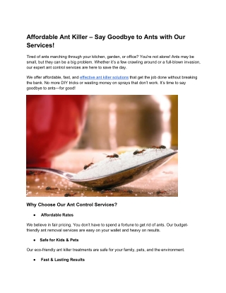 Affordable Ant Killer – Say Goodbye to Ants with Our Services