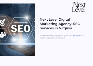 SEO services Virginia