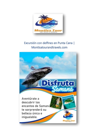 Excursión con delfines en Punta Cana | Montisatourandtravels.com