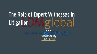 the role of expert witnesses in litigation