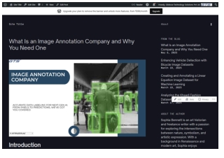 What Is an Image Annotation Company and Why You Need One