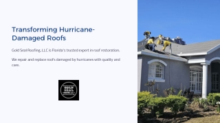 Hurricane Roof Restoration Experts in Florida