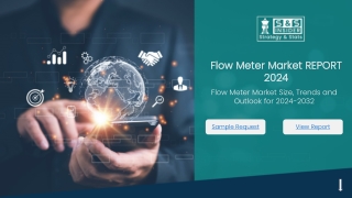 flow meter market report 2024