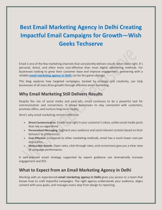 Best Email Marketing Agency in Delhi Creating Impactful Email Campaigns for Growth—Wish Geeks Techserve