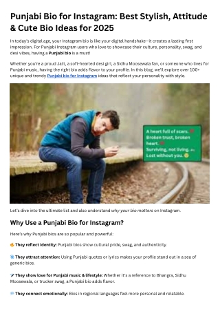 punjabi bio for instagram best stylish attitude