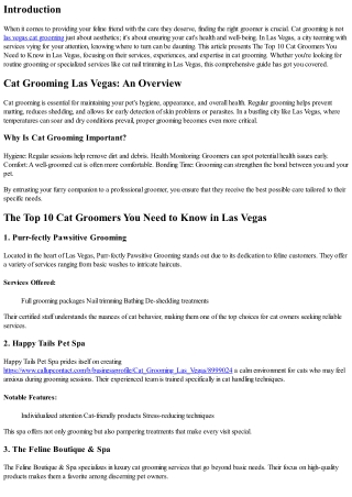 The Top 10 Cat Groomers You Need to Know in Las Vegas