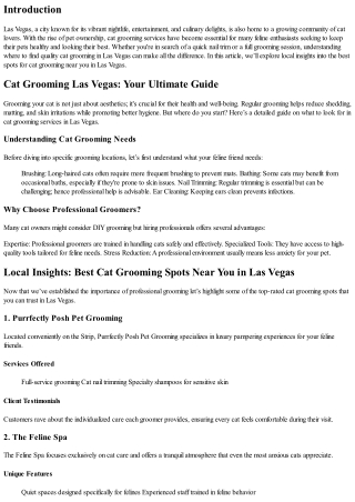 Local Insights: Best Cat Grooming Spots Near You in Las Vegas