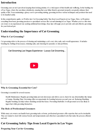 Cat Grooming Safety Tips from Local Experts in Las Vegas