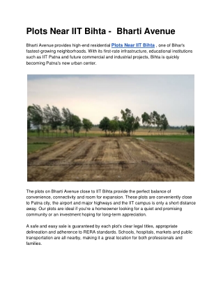 Plots Near IIT Bihta -  Bharti Avenue