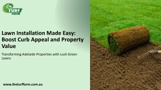 Lawn Installation Adelaide--The Turf Farm (2)