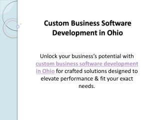 Custom Business Software Development in Ohio
