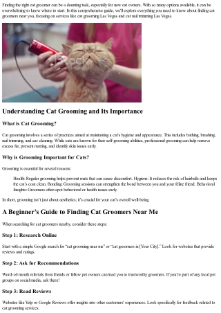 A Beginner’s Guide to Finding Cat Groomers Near Me