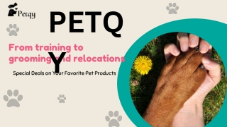 Affordable & Safe Pet Boarding and Sitting Services in Gurgaon.