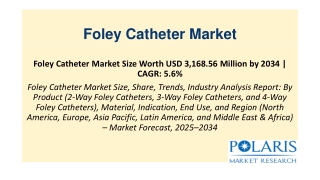 Foley Catheter Market