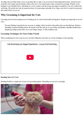 Traveling with Your Cat? Don’t Forget About Their Grooming!