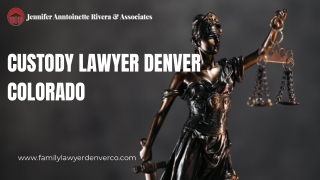 Understanding the Role of a Custody Lawyer in Denver, Colorado