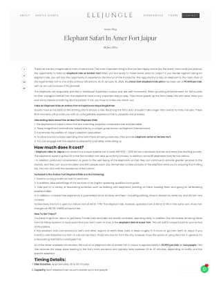 Planning Your Elephant Ride in Amer Fort Adventure