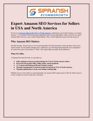 Expert Amazon SEO Services for Sellers in USA and North America