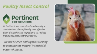 Poultry Insect Control