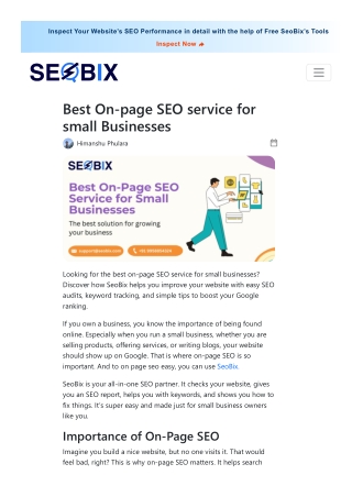 Boost Your Business with the Best On-Page SEO Tool – SeoBix