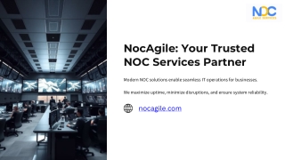 Expert 247 Network Monitoring and NOC Services by NocAgile