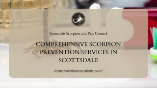 Comprehensive Scorpion Prevention Services in Scottsdale