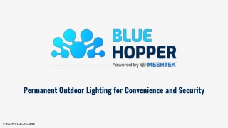 permanent outdoor lighting for convenience