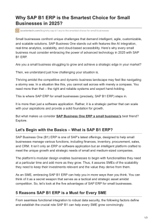 Why SAP B1 ERP Is Ideal for Small Businesses in 2025