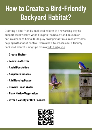 How to Create a Bird-Friendly Backyard Habitat?