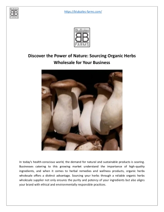 Discover the Power of Nature: Sourcing Organic Herbs Wholesale for Your Business
