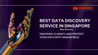 Best Data Discovery Service in Singapore