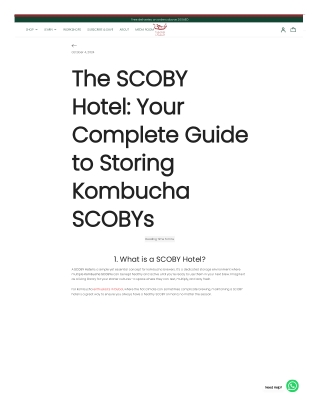 SCOBY Hotel 101: The Secret to Keeping Your Kombucha Cultures Alive and Thriving