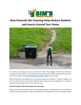 How Domestic Bin Cleaning Helps Reduce Rodents and Insects Around Your Home