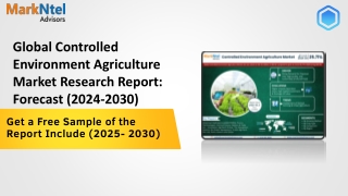 Controlled Environment Agriculture Market Size, Share, Trend 2030