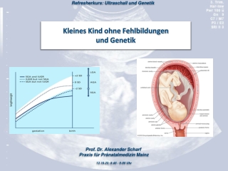 2023_09_18 Kleines Kind ohne Fehlbildungen und Genetik V3