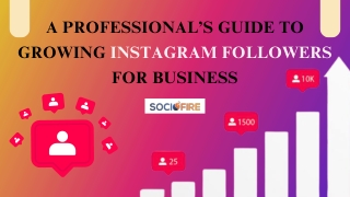 A Professional’s Guide to Growing Instagram Followers for Business