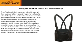 Lifting Belt with Back Support and Adjustable Straps