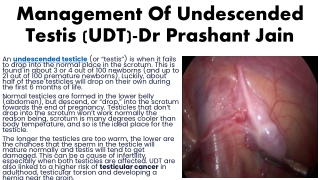 management of undescended testis udt dr prashant jain