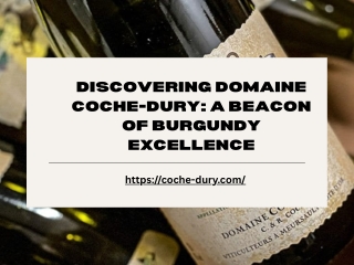 Discovering Domaine Coche-Dury A Beacon of Burgundy Excellence