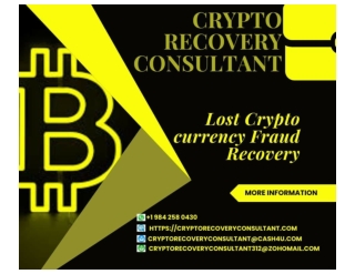 I Got Scammed and CRYPTO RECOVERY CONSULTANT Got My Money Back