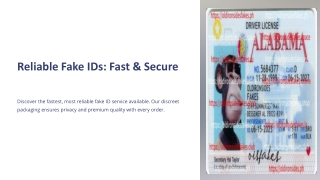 Reliable Fake ID Provider