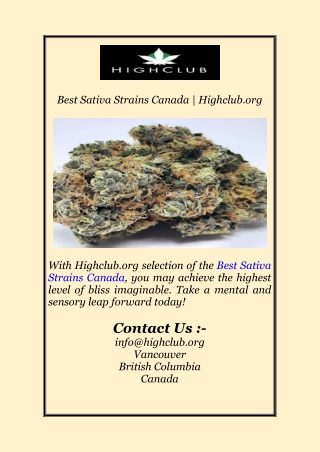 Best Sativa Strains Canada | Highclub.org