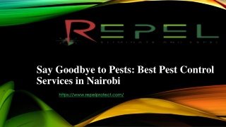 The Ultimate Guide to Pest Control Services in Nairobi