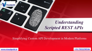 understanding scripted rest apis